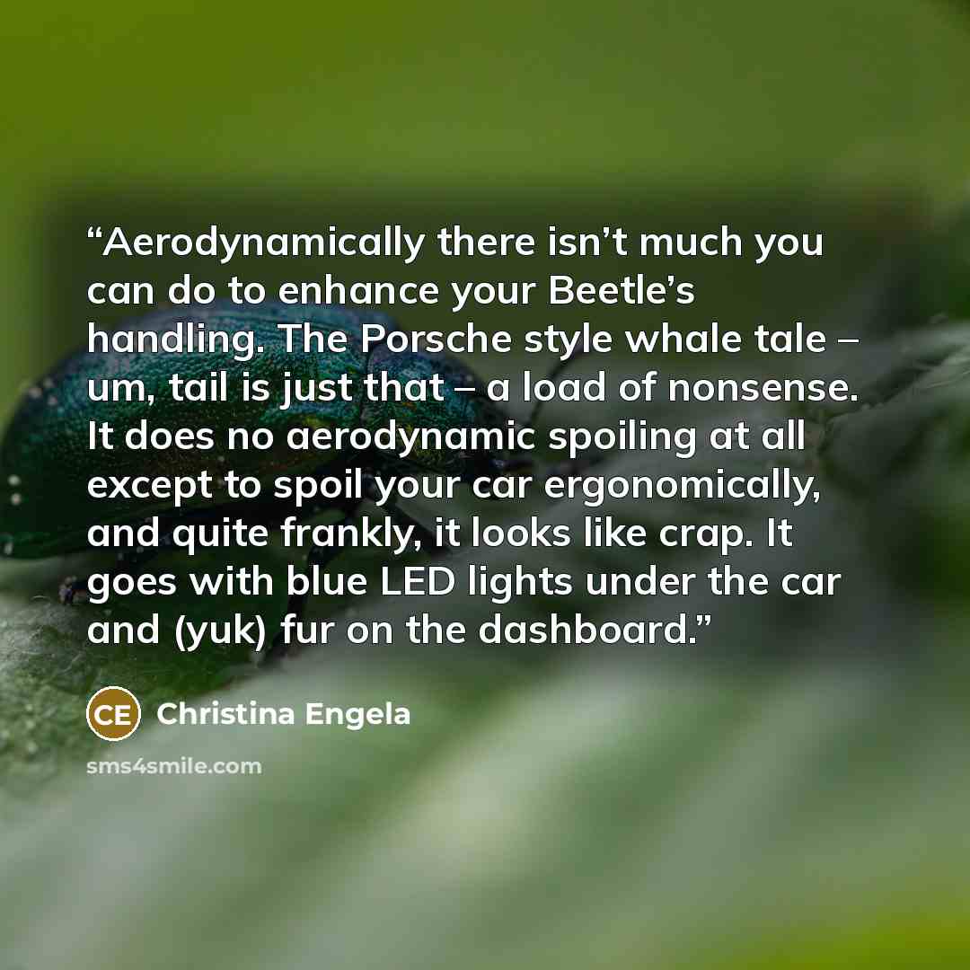 “Aerodynamically there isn’t much you can do to enhance your Beetle’s handling. The Porsche style whale tale – um, tail is just that – a load of nonsense. It does no aerodynamic spoiling at all except to spoil your car ergonomically, and quite frankly, it looks like crap. It goes with blue LED…” quote by Christina Engela