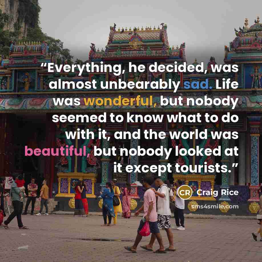 “Everything, he decided, was almost unbearably sad. Life was wonderful, but nobody seemed to know what to do with it, and the world was beautiful, but nobody looked at it except tourists.” quote by Craig Rice