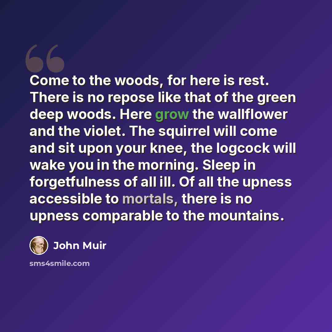 “Come to the woods, for here is rest. There is no repose like that of the green deep woods. Here grow the wallflower and the violet. The squirrel will come and sit upon your knee, the logcock will wake you in the morning. Sleep in forgetfulness of all ill. Of all the upness accessible to mortals…” quote by John Muir
