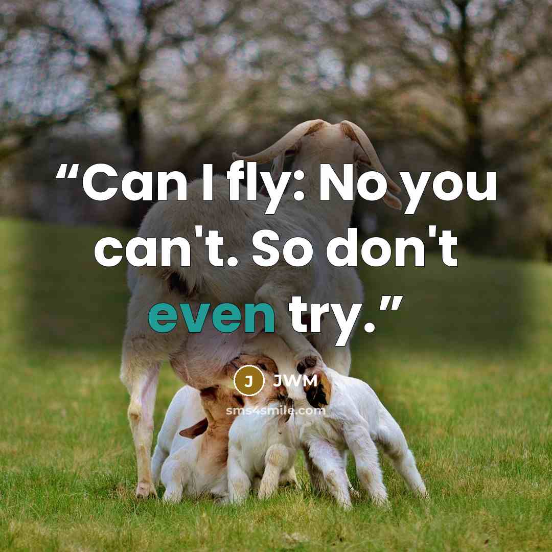 “Can I fly: No you can't. So don't even try.” quote by JWM
