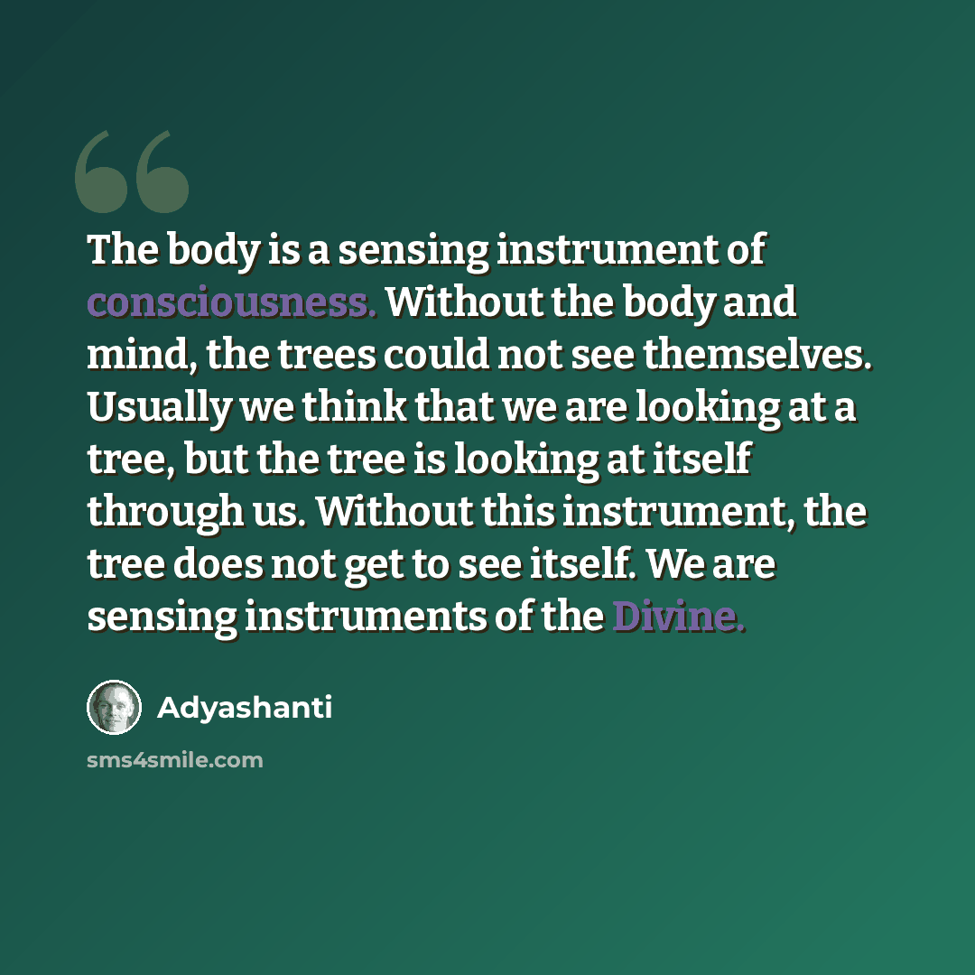 “The body is a sensing instrument of consciousness. Without the body and mind, the trees could not see themselves. Usually we think that we are looking at a tree, but the tree is looking at itself through us. Without this instrument, the tree does not get to see itself. We are sensing instruments…” quote by Adyashanti