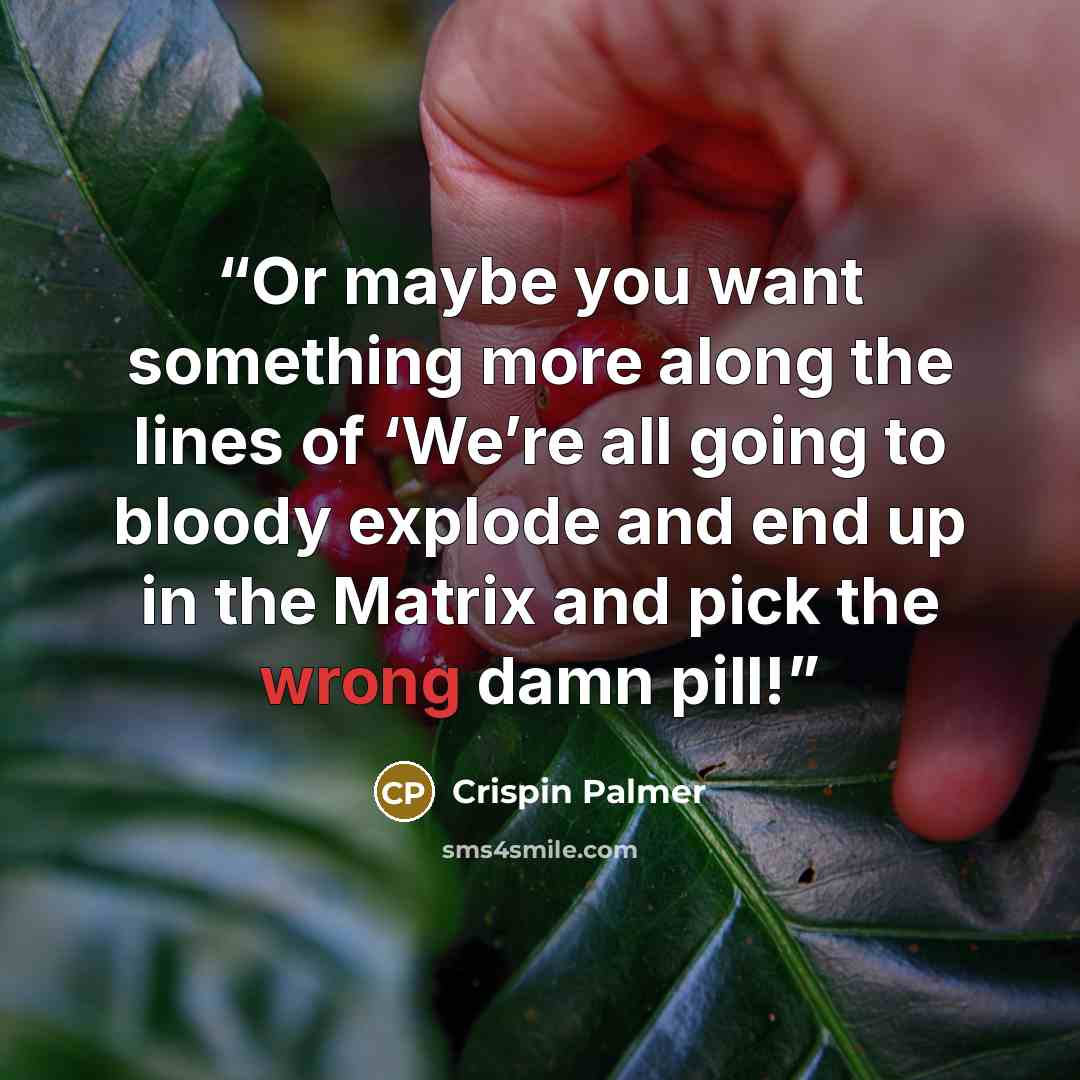“Or maybe you want something more along the lines of ‘We’re all going to bloody explode and end up in the Matrix and pick the wrong damn pill!” quote by Crispin Palmer