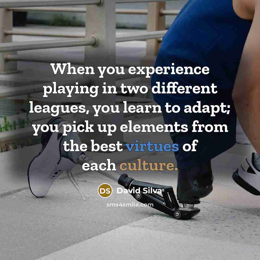 “When you experience playing in two different leagues, you learn to adapt; you pick up elements from the best virtues of each culture.” quote by David Silva