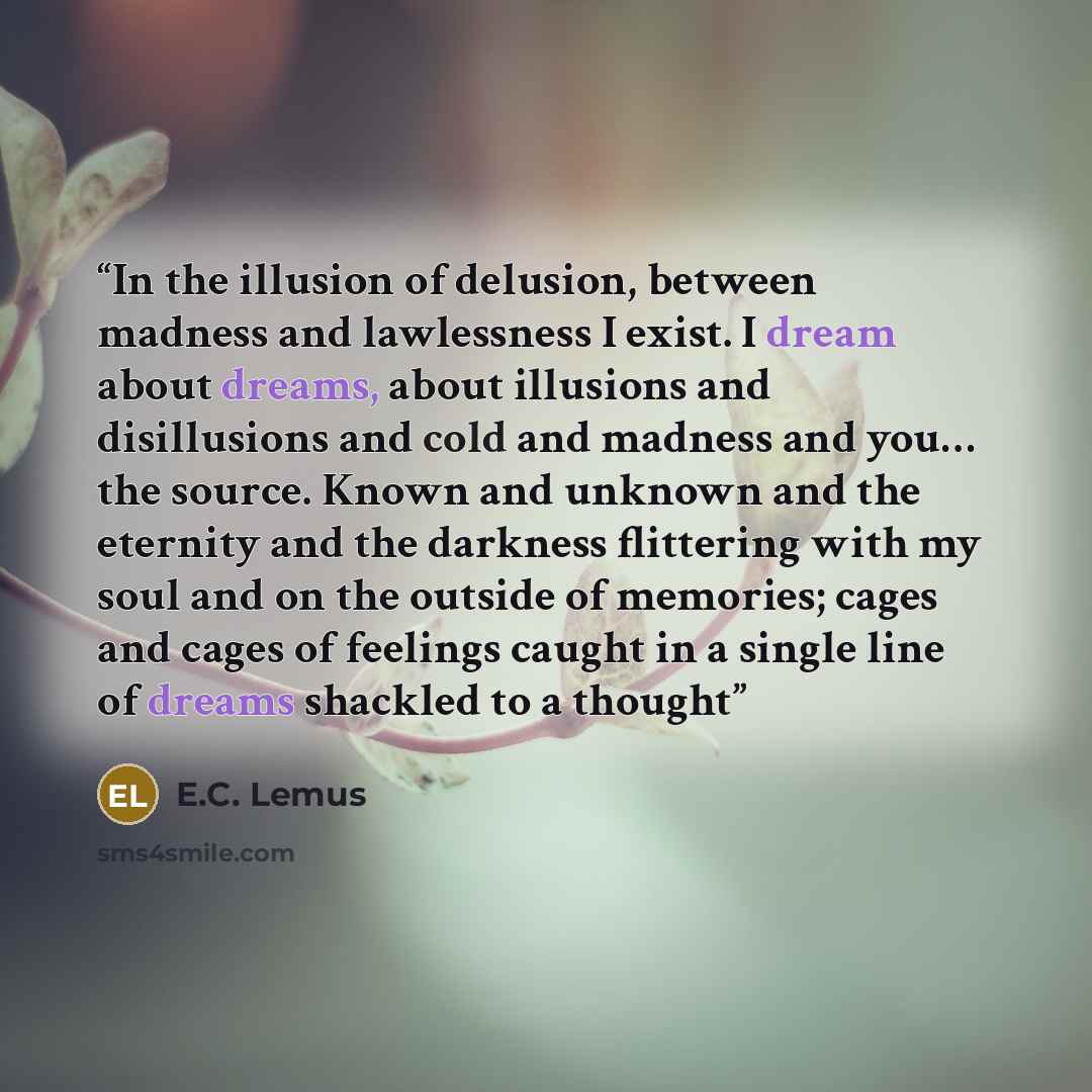 “In the illusion of delusion, between madness and lawlessness I exist. I dream about dreams, about illusions and disillusions and cold and madness and you… the source. Known and unknown and the eternity and the darkness flittering with my soul and on the outside of memories; cages and cages of…” quote by E.C. Lemus