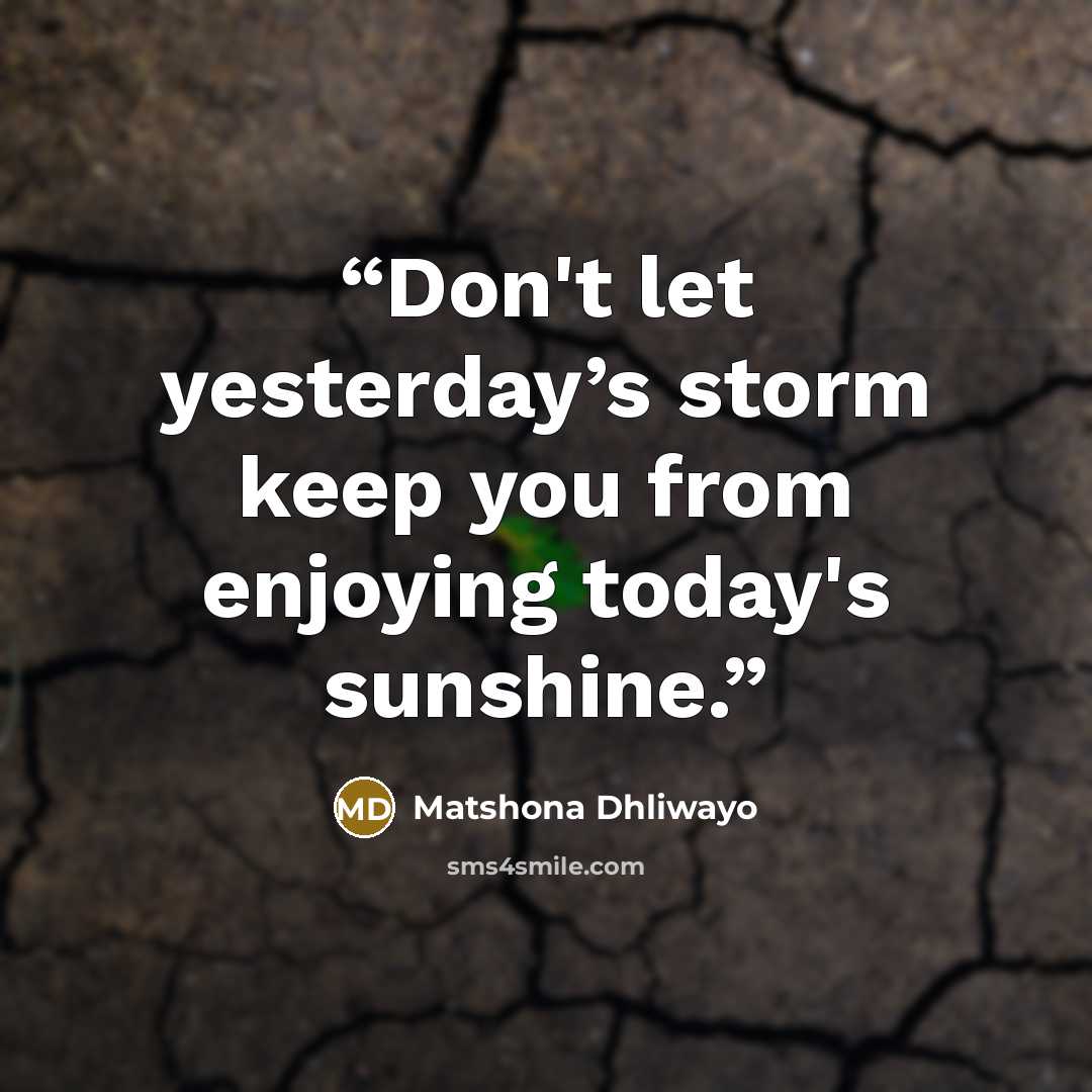 “Don't let yesterday’s storm keep you from enjoying today's sunshine.” quote by Matshona Dhliwayo