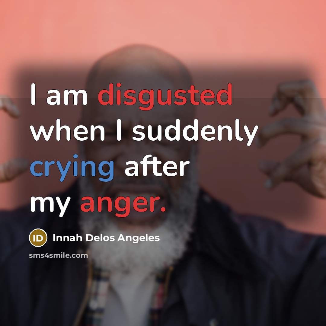 “I am disgusted when I suddenly crying after my anger.” quote by Innah Delos Angeles
