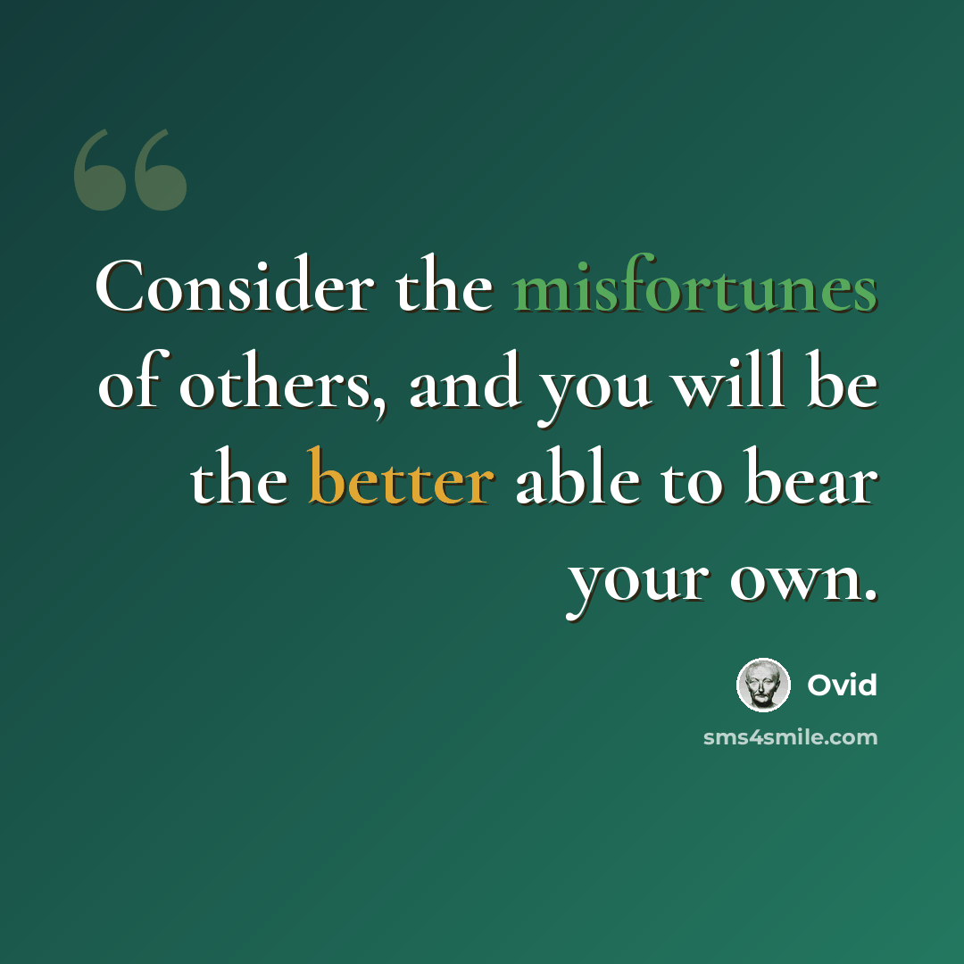 “Consider the misfortunes of others, and you will be the better able to bear your own.” quote by Ovid