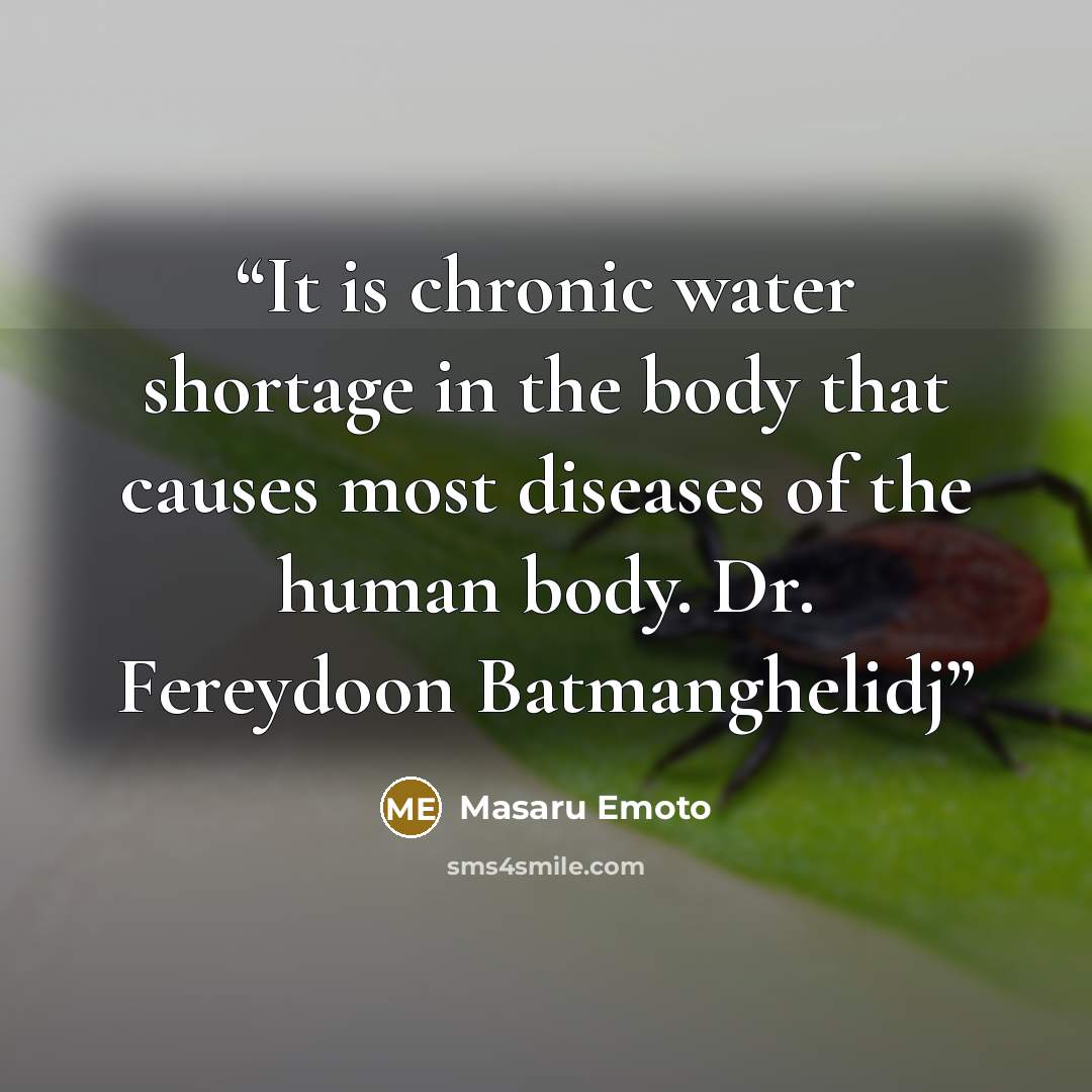 “It is chronic water shortage in the body that causes most diseases of the human body. Dr. Fereydoon Batmanghelidj” quote by Masaru Emoto