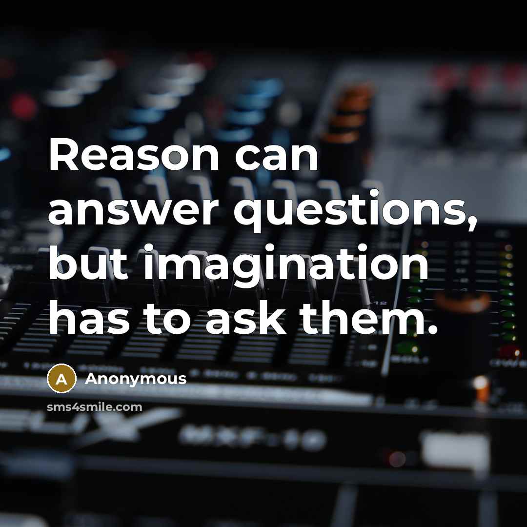 “Reason can answer questions, but imagination has to ask them.” quote by Anonymous