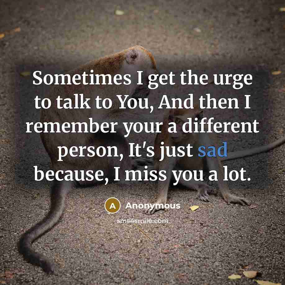 “Sometimes I get the urge to talk to You, And then I remember your a different person, It's just sad because, I miss you a lot.” quote by Anonymous