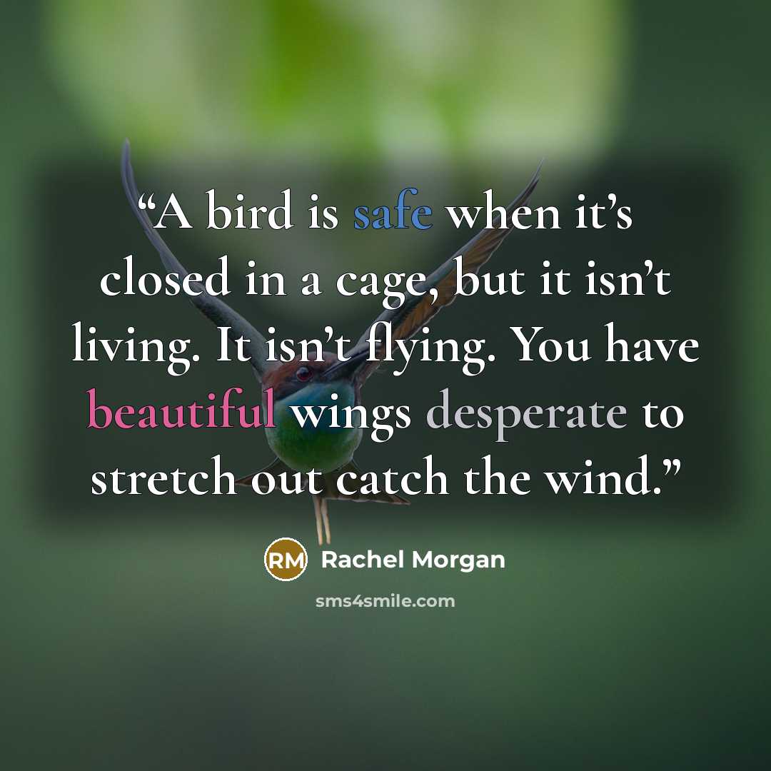 “A bird is safe when it’s closed in a cage, but it isn’t living. It isn’t flying. You have beautiful wings desperate to stretch out catch the wind.” quote by Rachel Morgan