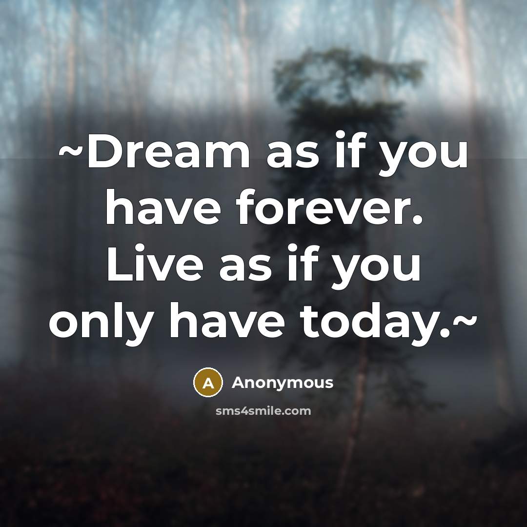 “~Dream as if you have forever. Live as if you only have today.~” quote by Anonymous