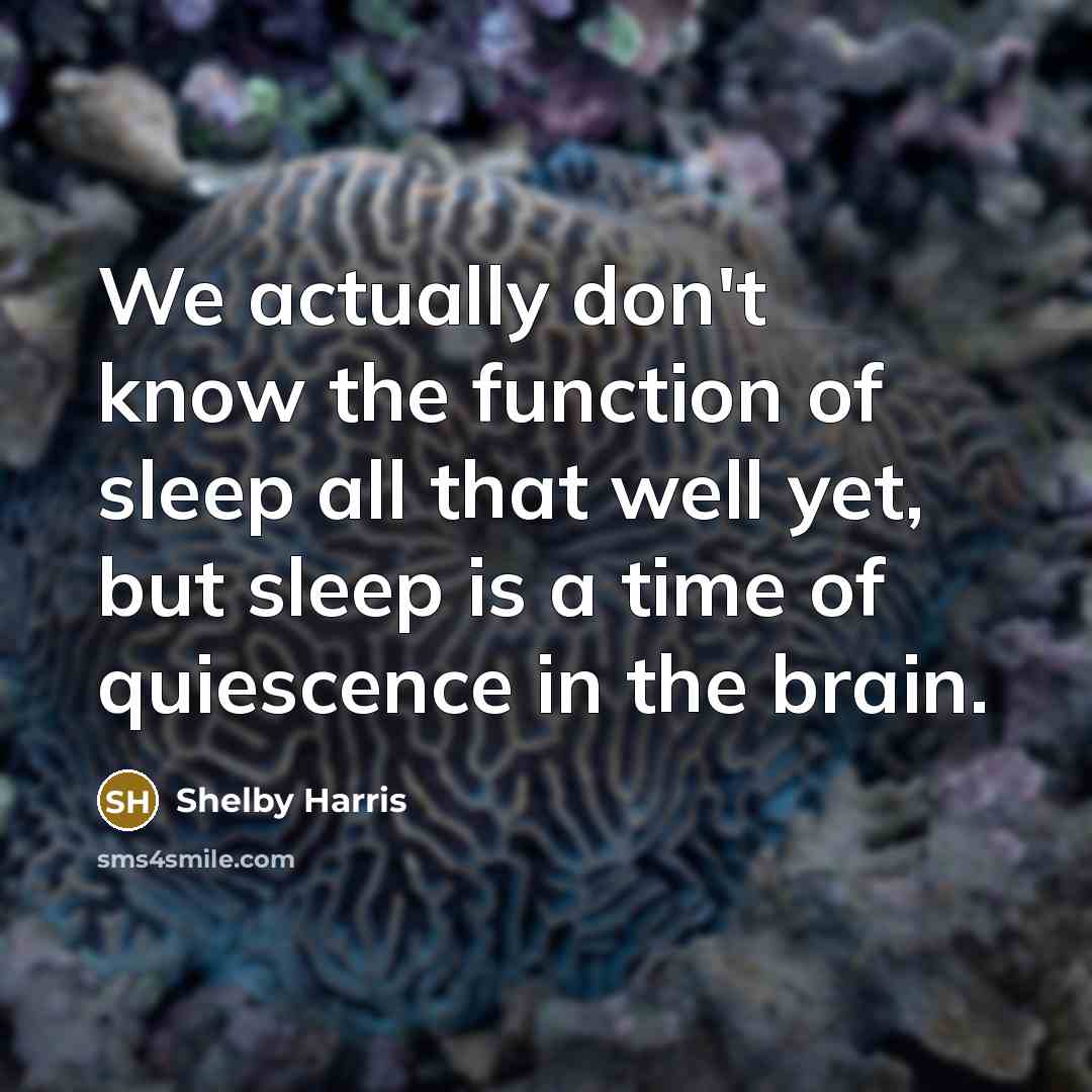 “We actually don't know the function of sleep all that well yet, but sleep is a time of quiescence in the brain.” quote by Shelby Harris