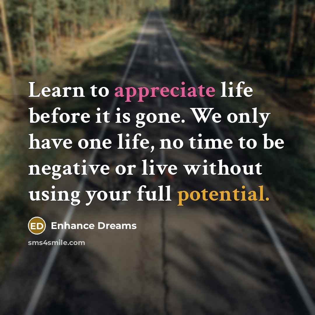 “Learn to appreciate life before it is gone. We only have one life, no time to be negative or live without using your full potential.” quote by Enhance Dreams