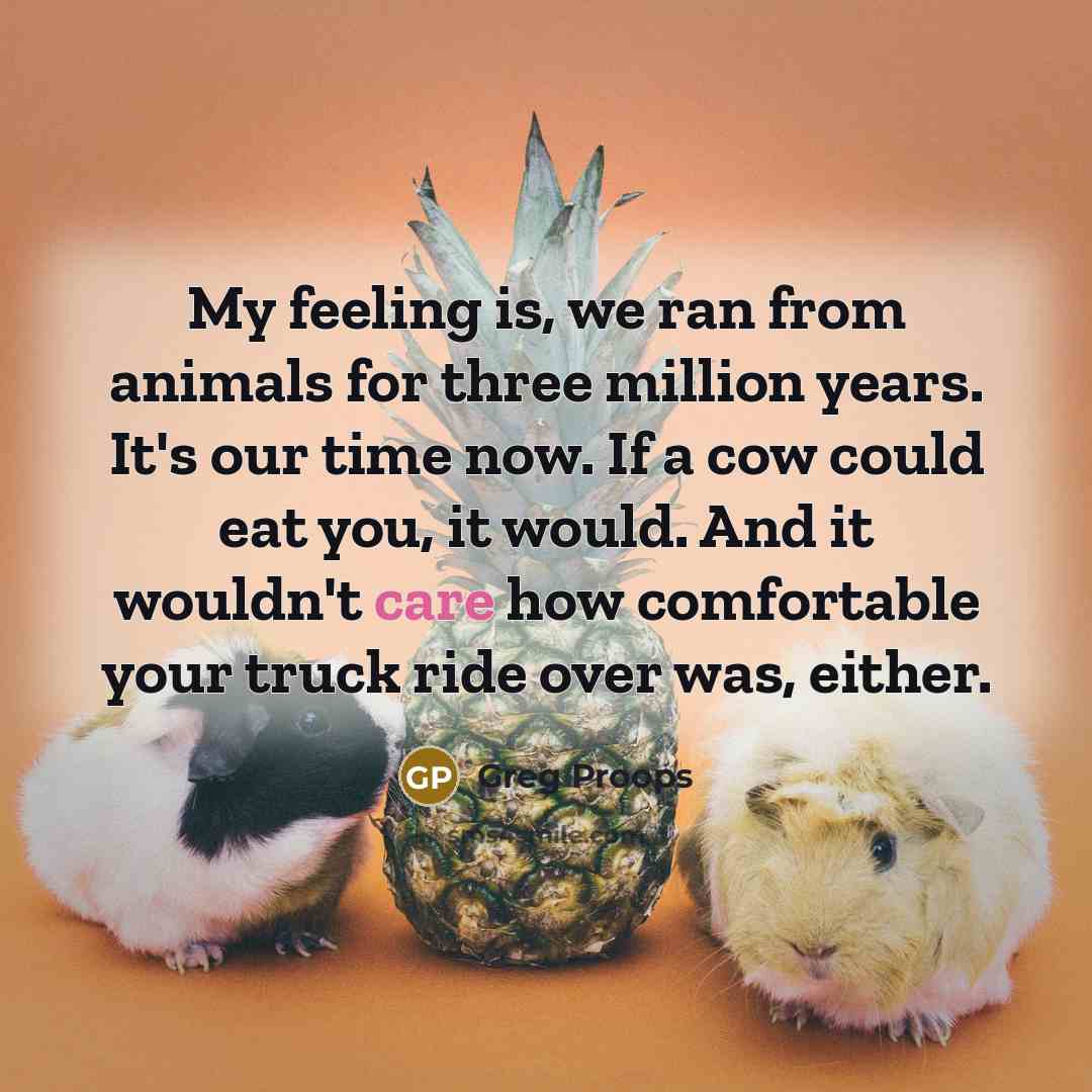 “My feeling is, we ran from animals for three million years. It's our time now. If a cow could eat you, it would. And it wouldn't care how comfortable your truck ride over was, either.” quote by Greg Proops