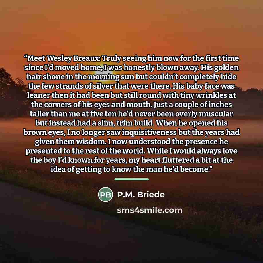 “Meet Wesley Breaux: Truly seeing him now for the first time since I’d moved home, I was honestly blown away. His golden hair shone in the morning sun but couldn’t completely hide the few strands of silver that were there. His baby face was leaner then it had been but still round with tiny wrinkles…” quote by P.M. Briede