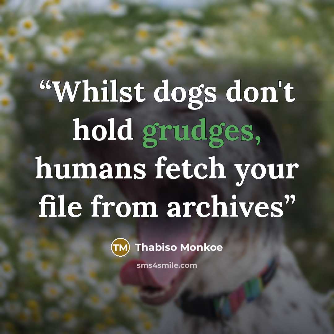“Whilst dogs don't hold grudges, humans fetch your file from archives” quote by Thabiso Monkoe