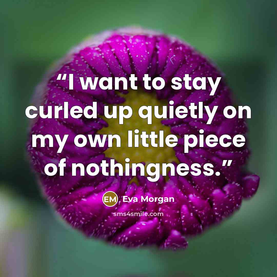 “I want to stay curled up quietly on my own little piece of nothingness.” quote by Eva Morgan