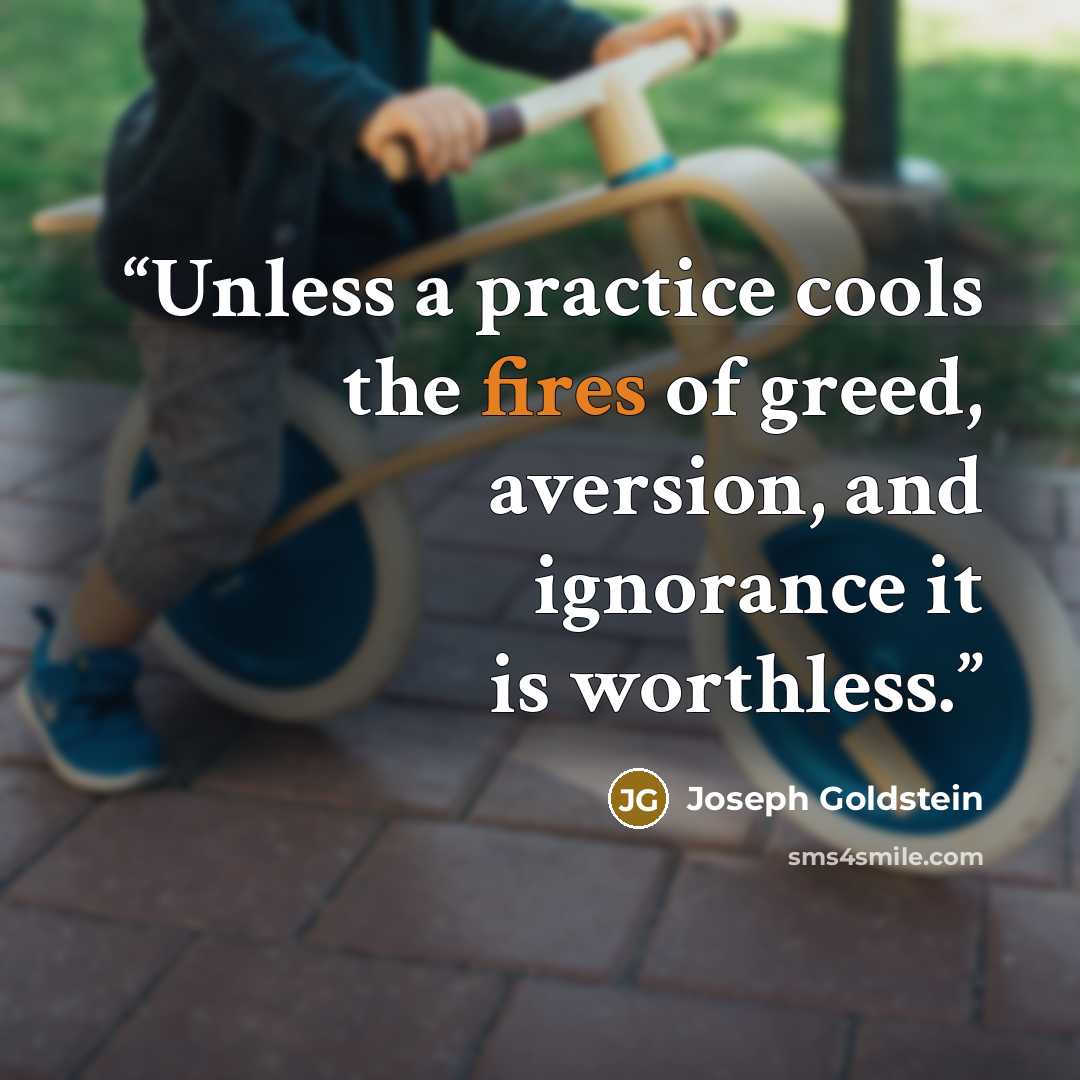 “Unless a practice cools the fires of greed, aversion, and ignorance it is worthless.” quote by Joseph Goldstein