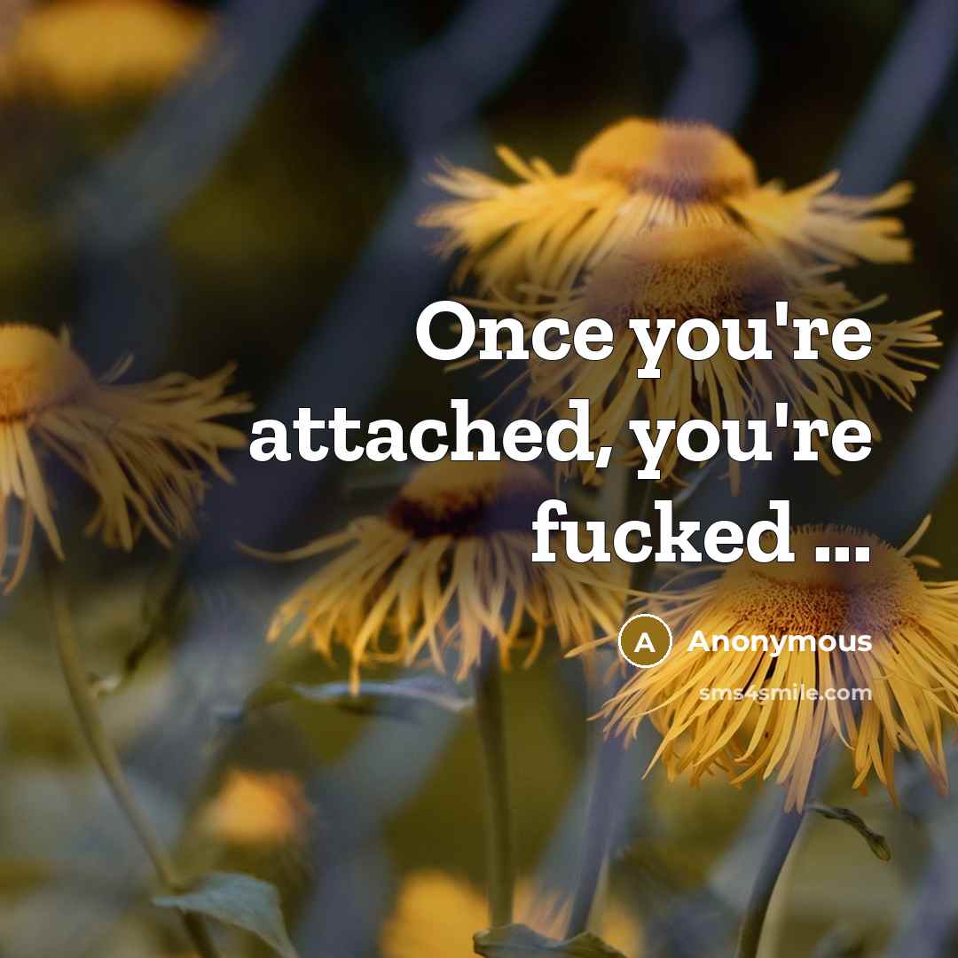 “Once you're attached, you're fucked ...” quote by Anonymous