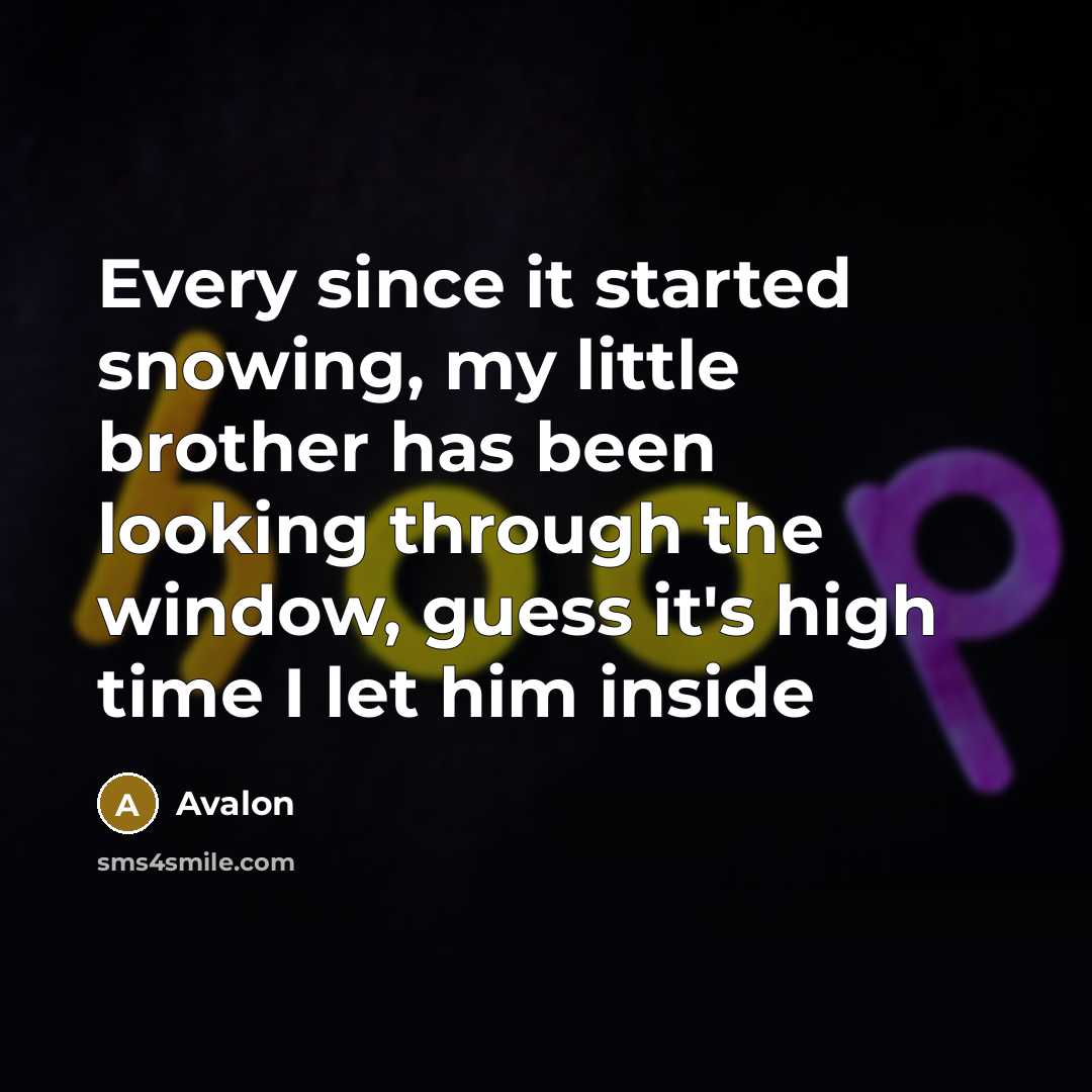 “Every since it started snowing, my little brother has been looking through the window, guess it's high time I let him inside” quote by Avalon