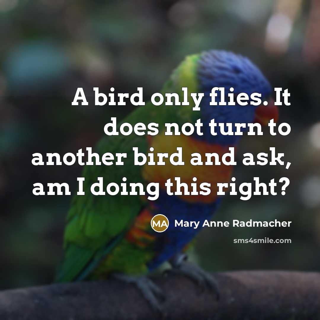 “A bird only flies. It does not turn to another bird and ask, am I doing this right?” quote by Mary Anne Radmacher