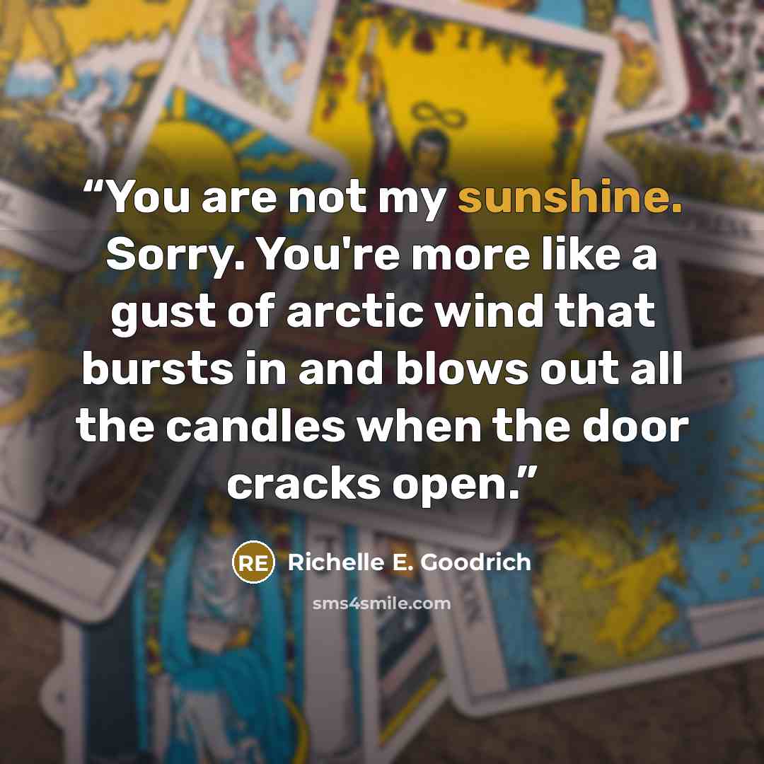 “You are not my sunshine. Sorry. You're more like a gust of arctic wind that bursts in and blows out all the candles when the door cracks open.” quote by Richelle E. Goodrich