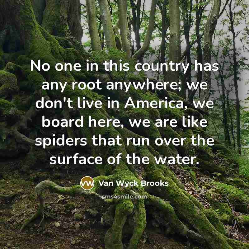 “No one in this country has any root anywhere; we don't live in America, we board here, we are like spiders that run over the surface of the water.” quote by Van Wyck Brooks