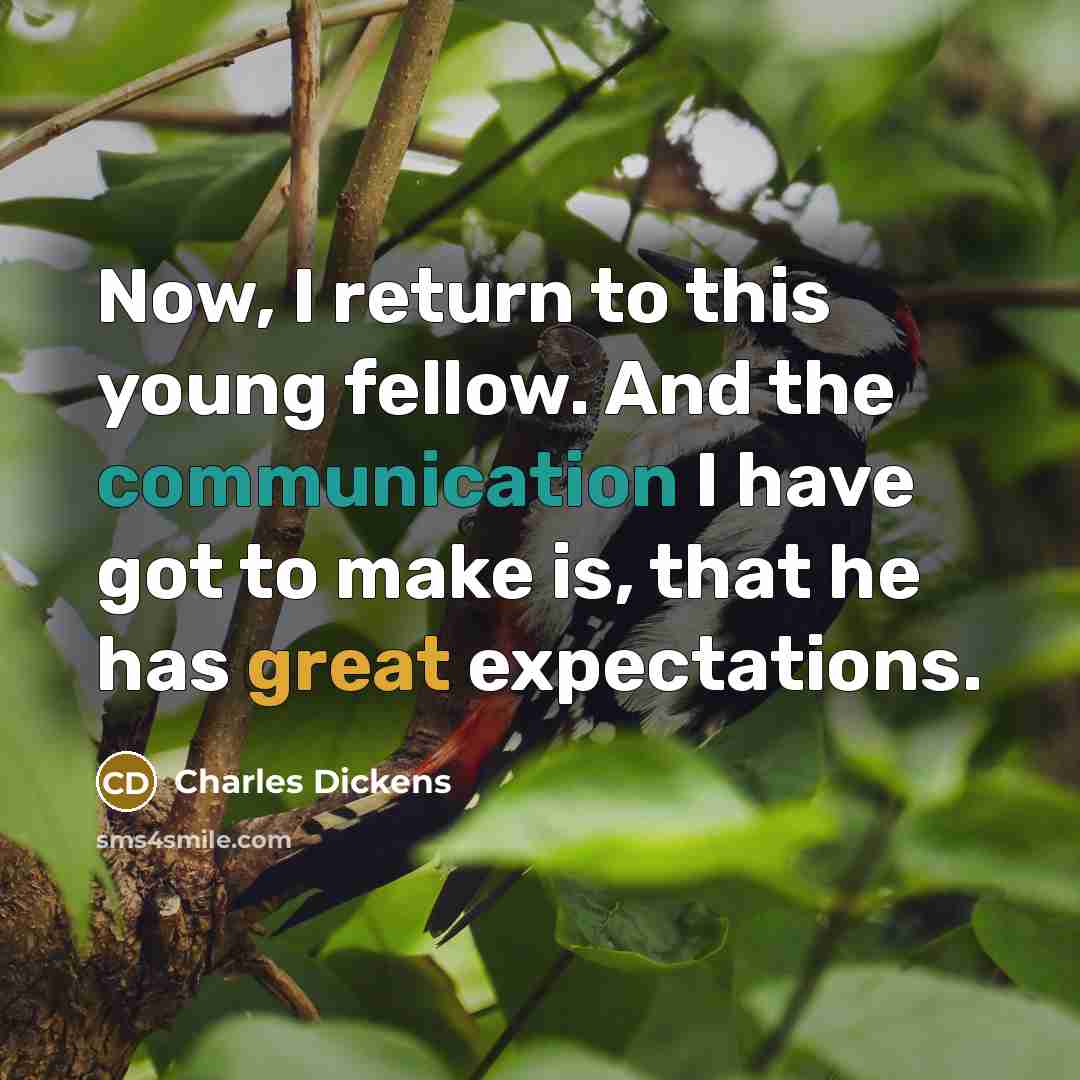 “Now, I return to this young fellow. And the communication I have got to make is, that he has great expectations.” quote by Charles Dickens