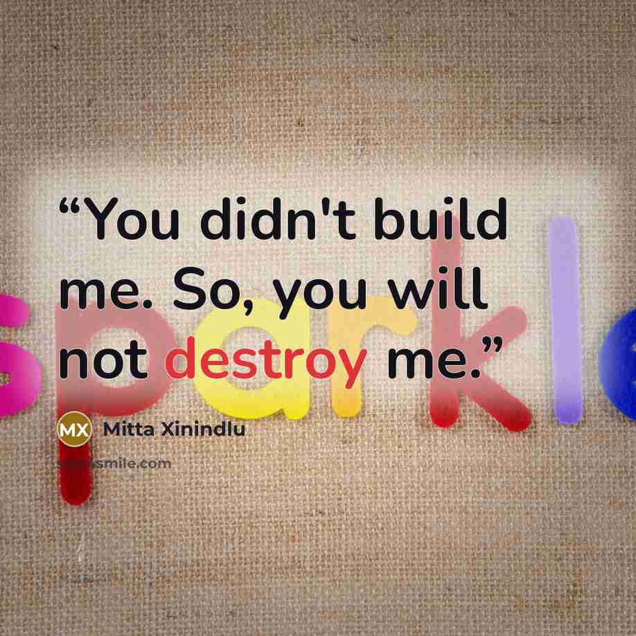 “You didn't build me. So, you will not destroy me.” quote by Mitta Xinindlu
