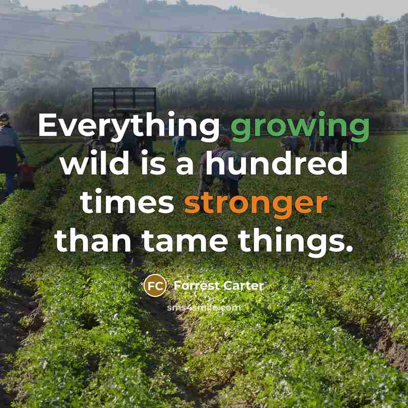 “Everything growing wild is a hundred times stronger than tame things.” quote by Forrest Carter