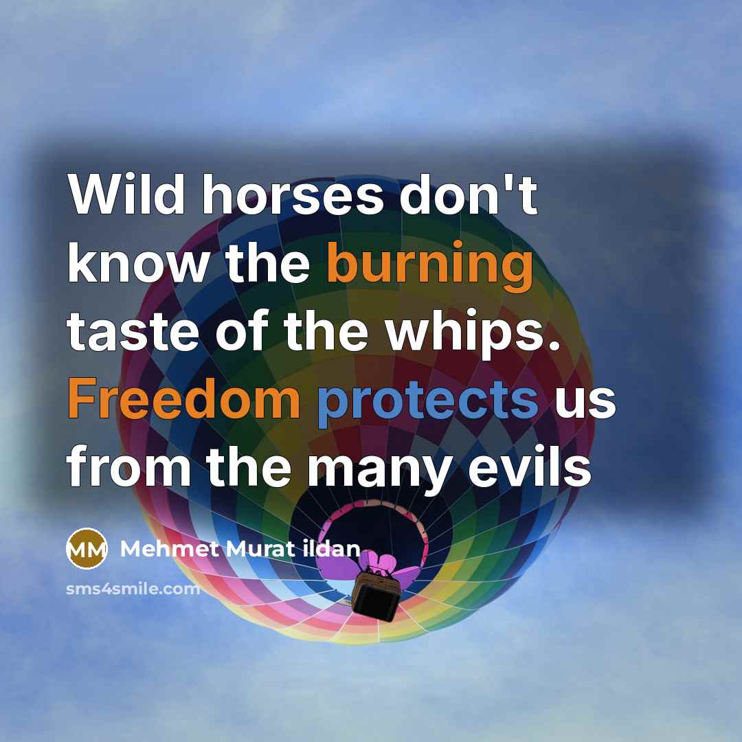 “Wild horses don't know the burning taste of the whips. Freedom protects us from the many evils” quote by Mehmet Murat Ildan