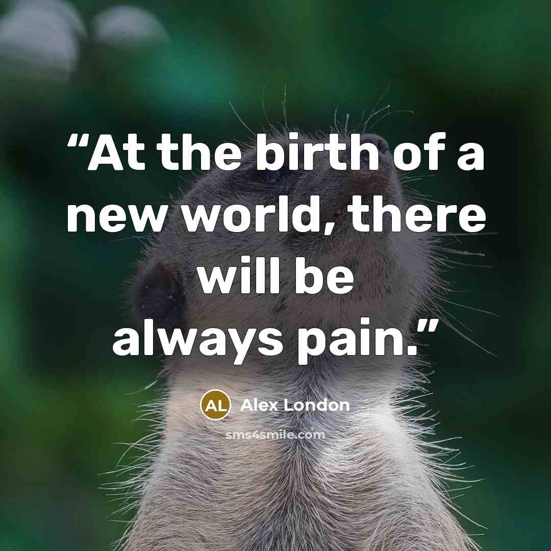 “At the birth of a new world, there will be always pain.” quote by Alex London