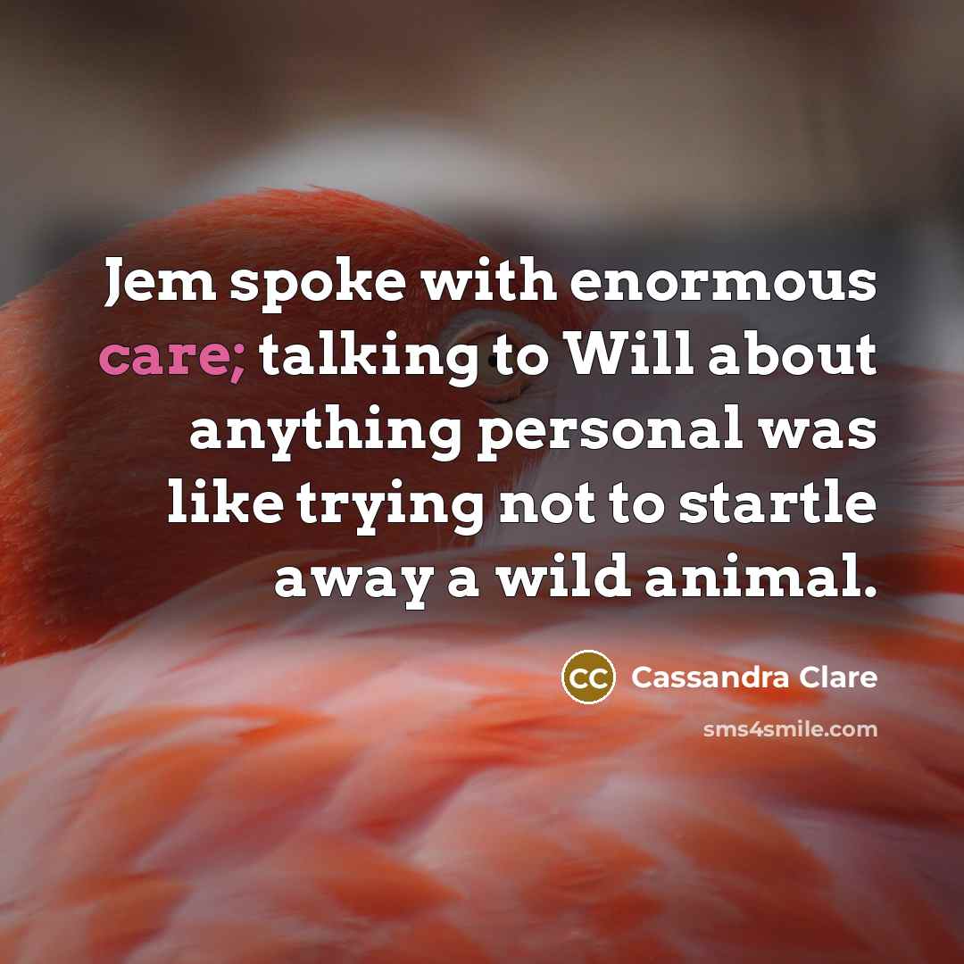 “Jem spoke with enormous care; talking to Will about anything personal was like trying not to startle away a wild animal.” quote by Cassandra Clare