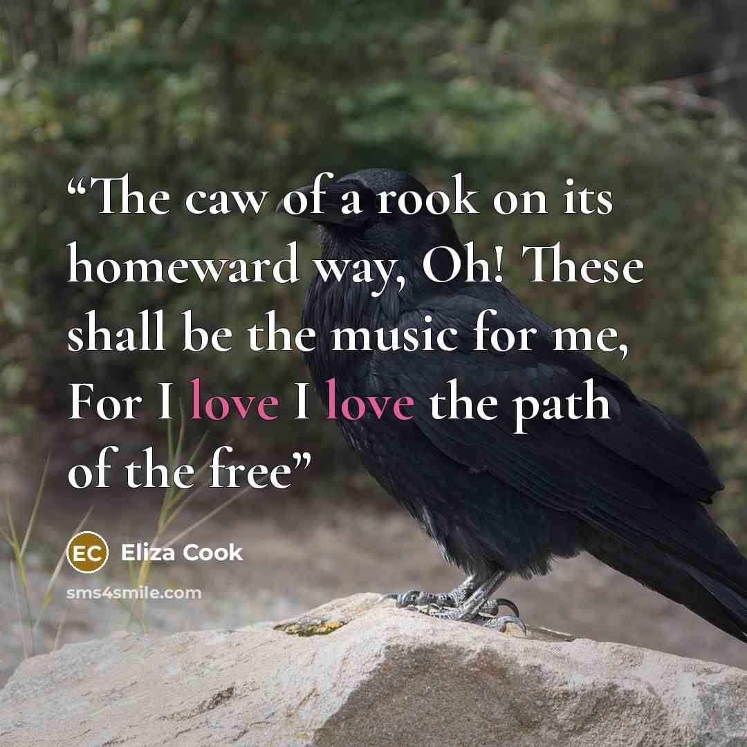 “The caw of a rook on its homeward way, Oh! These shall be the music for me, For I love I love the path of the free” quote by Eliza Cook