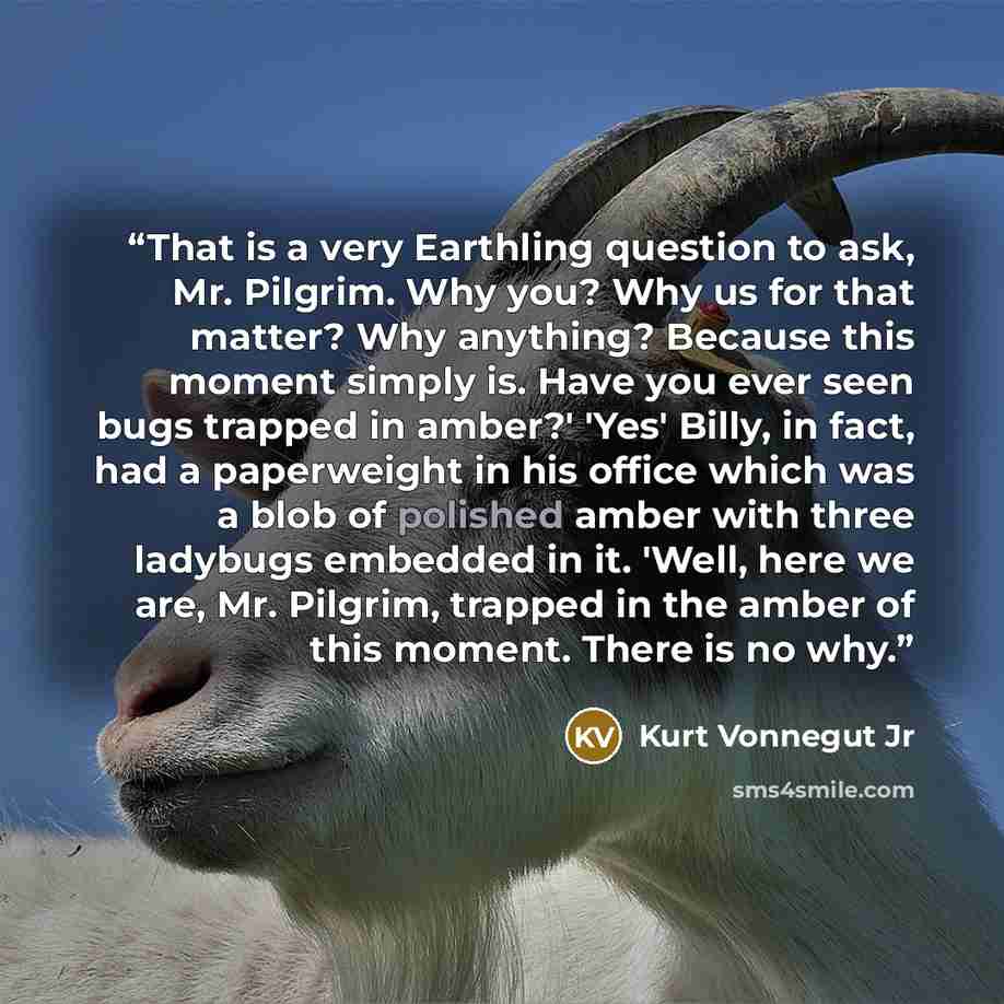 “That is a very Earthling question to ask, Mr. Pilgrim. Why you? Why us for that matter? Why anything? Because this moment simply is. Have you ever seen bugs trapped in amber?' 'Yes' Billy, in fact, had a paperweight in his office which was a blob of polished amber with three ladybugs embedded in…” quote by Kurt Vonnegut Jr