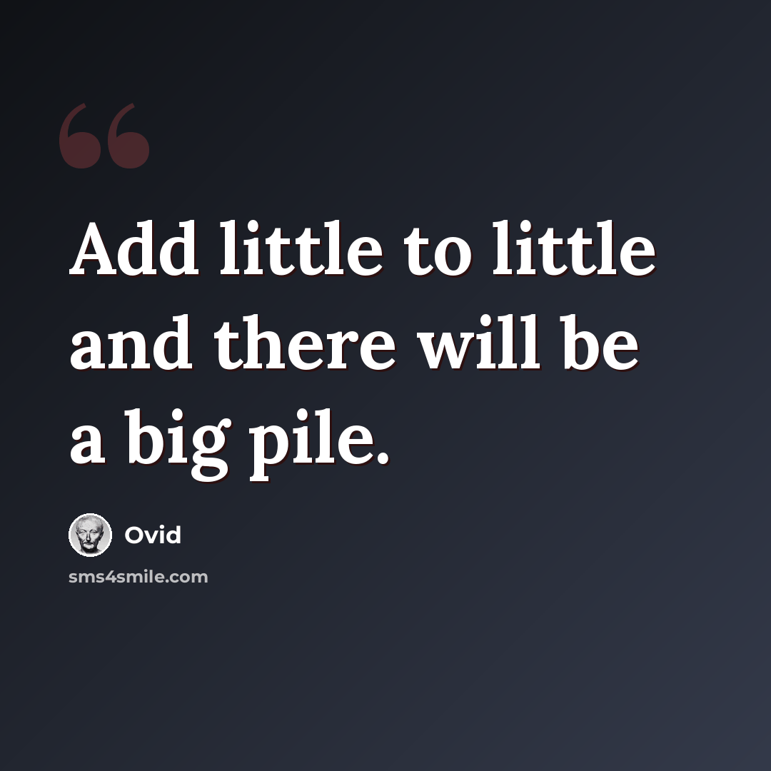 “Add little to little and there will be a big pile.” quote by Ovid