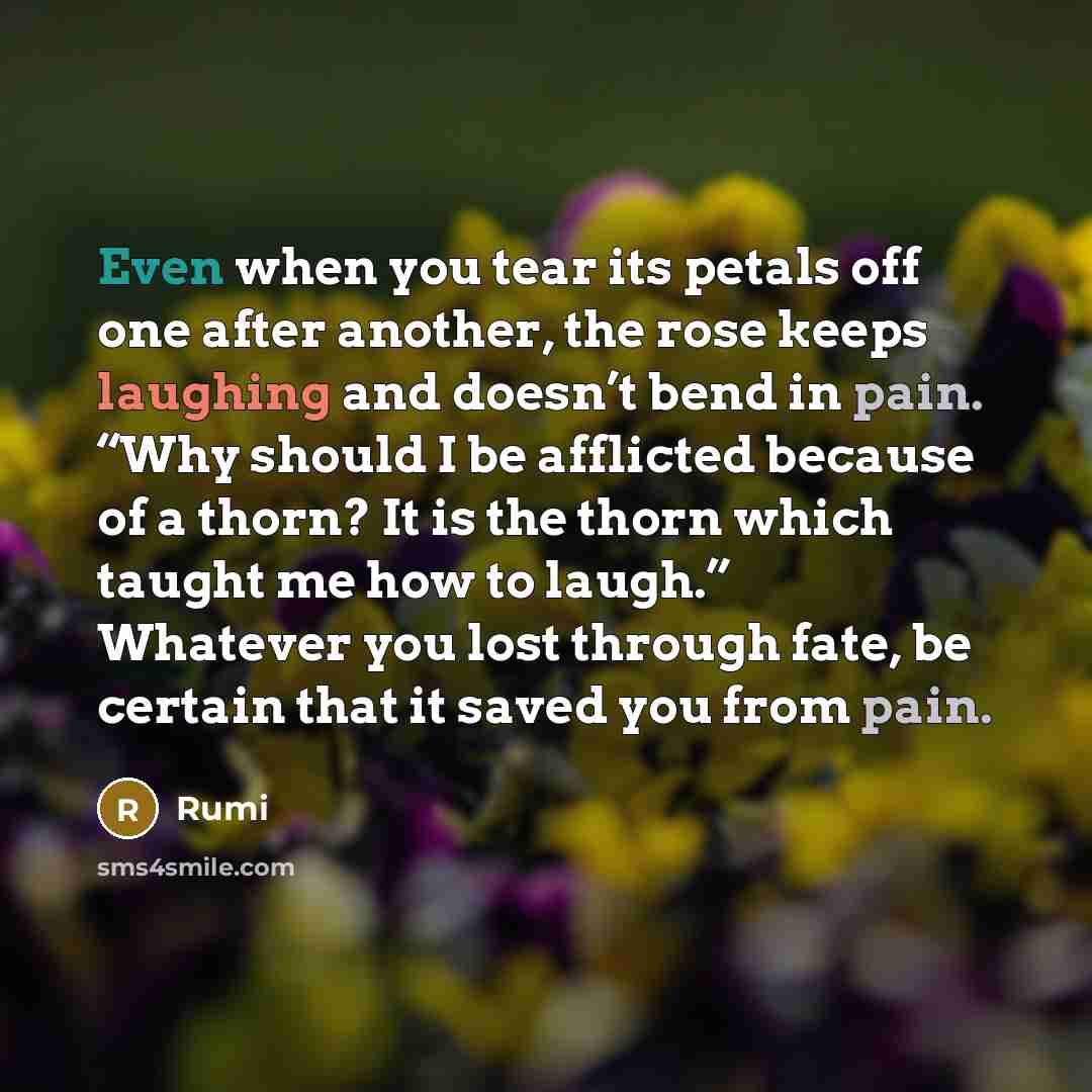“Even when you tear its petals off one after another, the rose keeps laughing and doesn’t bend in pain. “Why should I be afflicted because of a thorn? It is the thorn which taught me how to laugh.” Whatever you lost through fate, be certain that it saved you from pain.” quote by Rumi