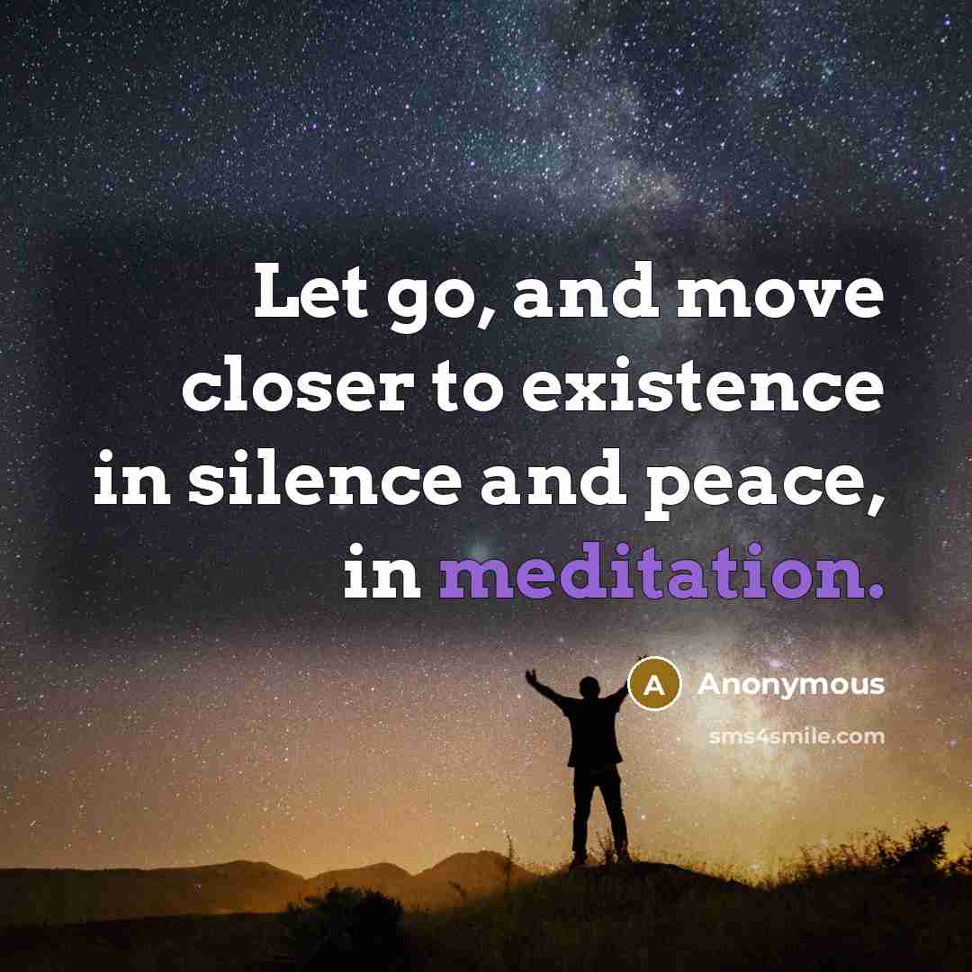 “Let go, and move closer to existence in silence and peace, in meditation.” quote by Anonymous