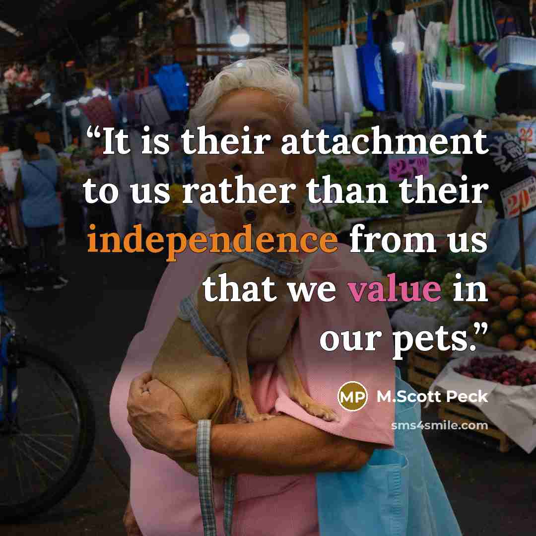 “It is their attachment to us rather than their independence from us that we value in our pets.” quote by M.Scott Peck