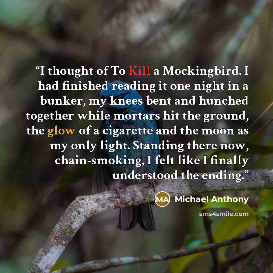 “I thought of To Kill a Mockingbird. I had finished reading it one night in a bunker, my knees bent and hunched together while mortars hit the ground, the glow of a cigarette and the moon as my only light. Standing there now, chain-smoking, I felt like I finally understood the ending.” quote by Michael Anthony