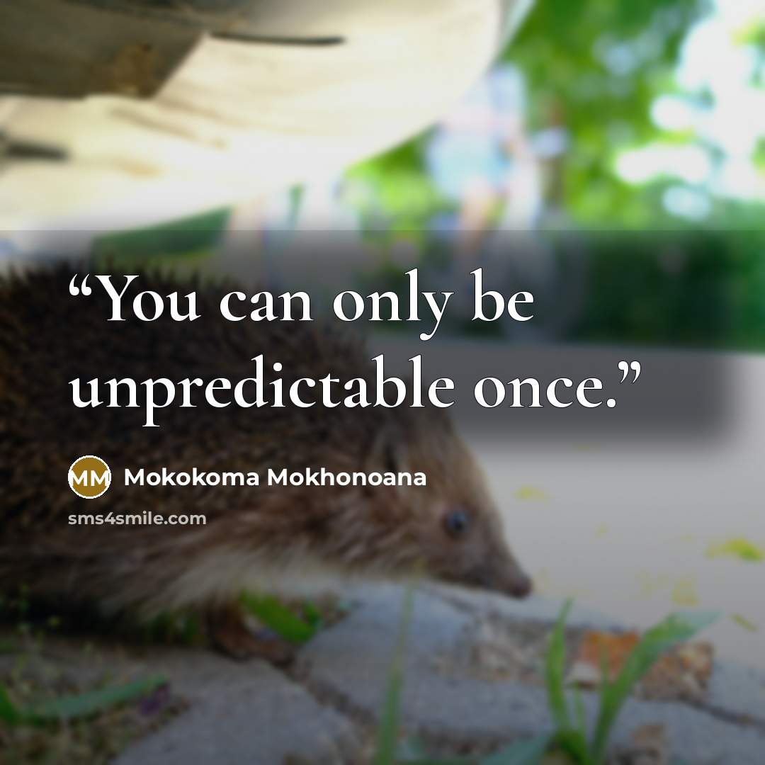 “You can only be unpredictable once.” quote by Mokokoma Mokhonoana