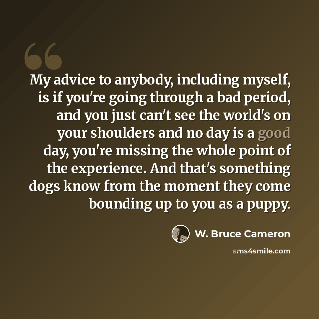 “My advice to anybody, including myself, is if you're going through a bad period, and you just can't see the world's on your shoulders and no day is a good day, you're missing the whole point of the experience. And that's something dogs know from the moment they come bounding up to you as a puppy.” quote by W. Bruce Cameron
