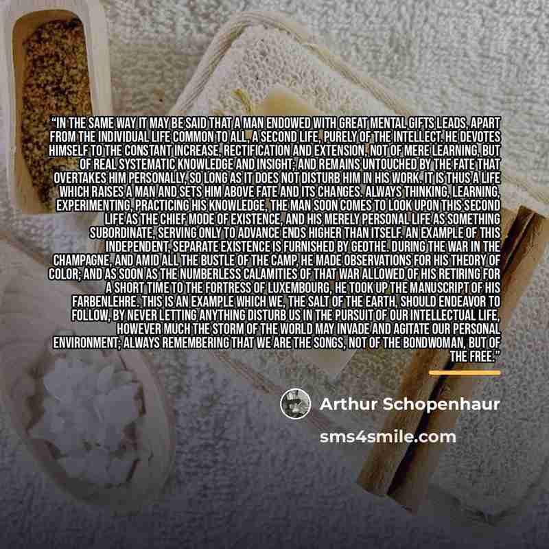 “In the same way it may be said that a man endowed with great mental gifts leads, apart from the individual life common to all, a second life, purely of the intellect. He devotes himself to the constant increase, rectification and extension, not of mere learning, but of real systematic knowledge…” quote by Arthur Schopenhaur