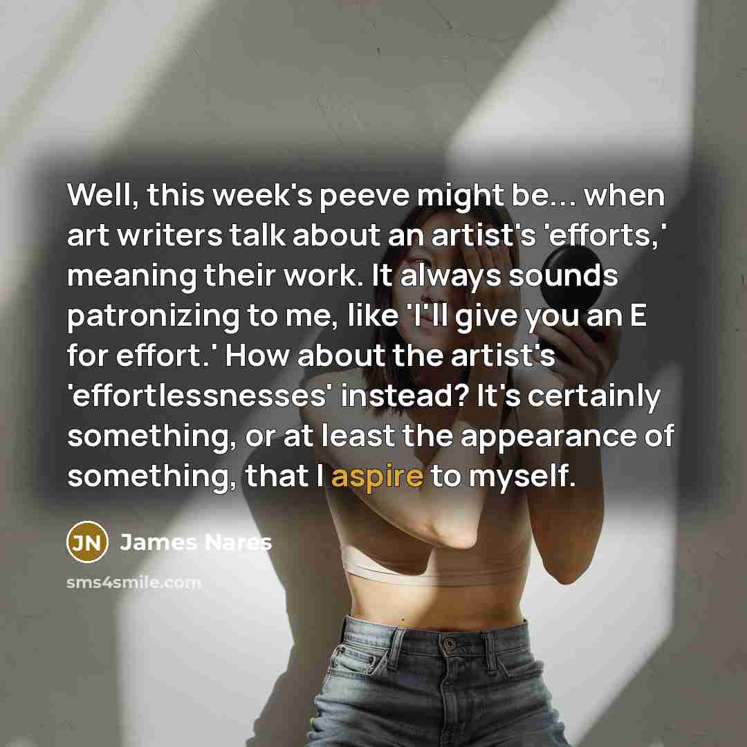 “Well, this week's peeve might be... when art writers talk about an artist's 'efforts,' meaning their work. It always sounds patronizing to me, like 'I'll give you an E for effort.' How about the artist's 'effortlessnesses' instead? It's certainly something, or at least the appearance of something…” quote by James Nares