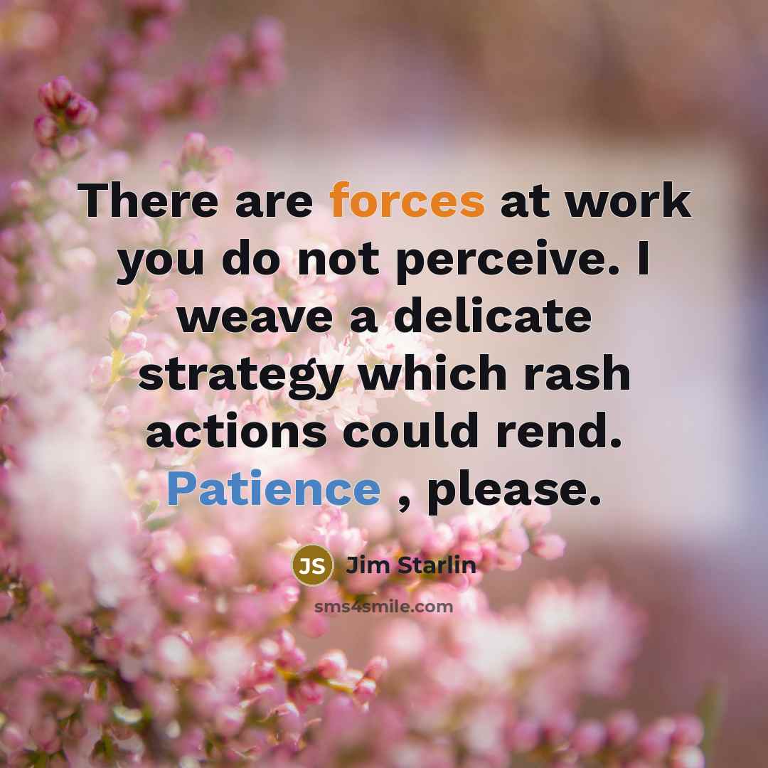 “There are forces at work you do not perceive. I weave a delicate strategy which rash actions could rend. Patience , please.” quote by Jim Starlin