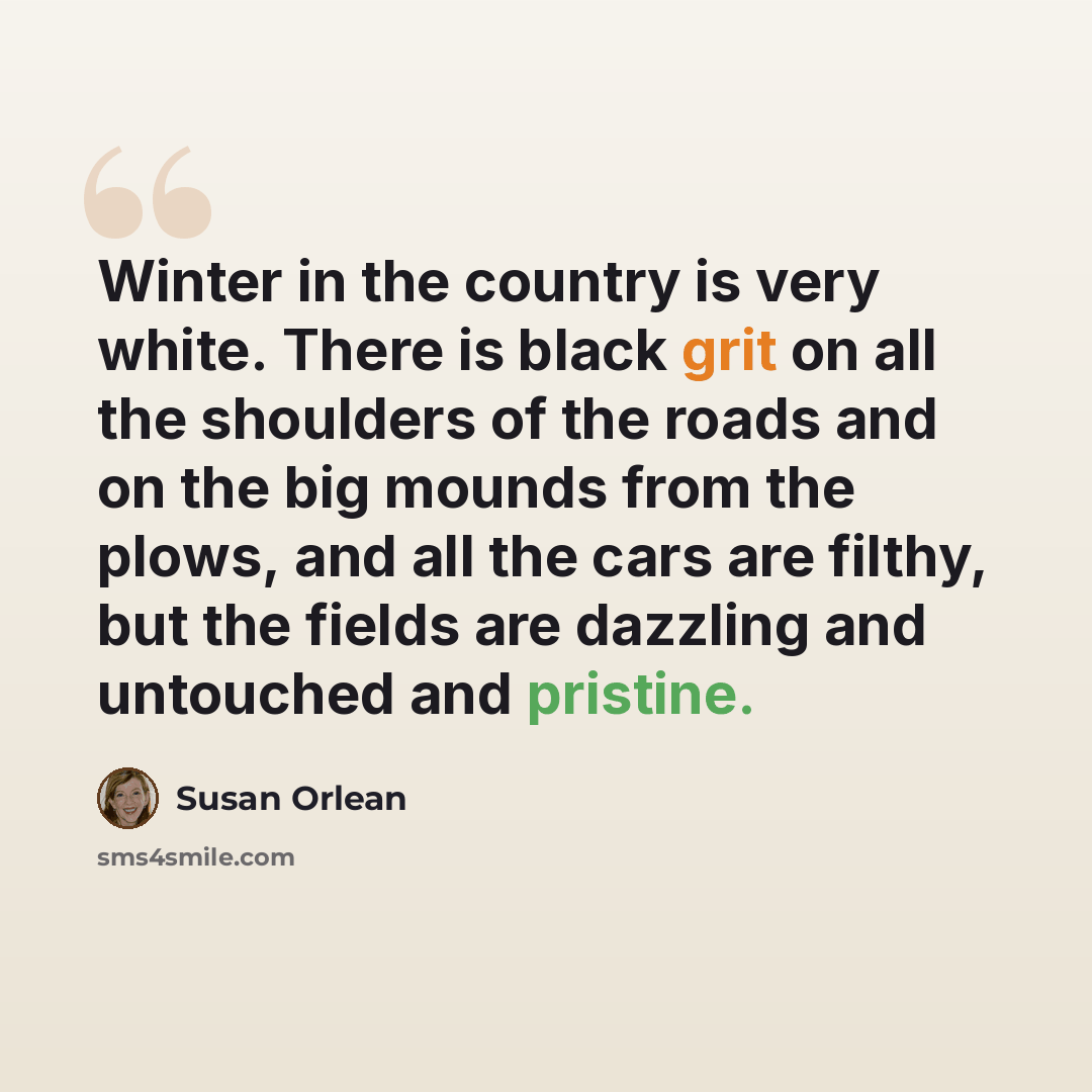 “Winter in the country is very white. There is black grit on all the shoulders of the roads and on the big mounds from the plows, and all the cars are filthy, but the fields are dazzling and untouched and pristine.” quote by Susan Orlean