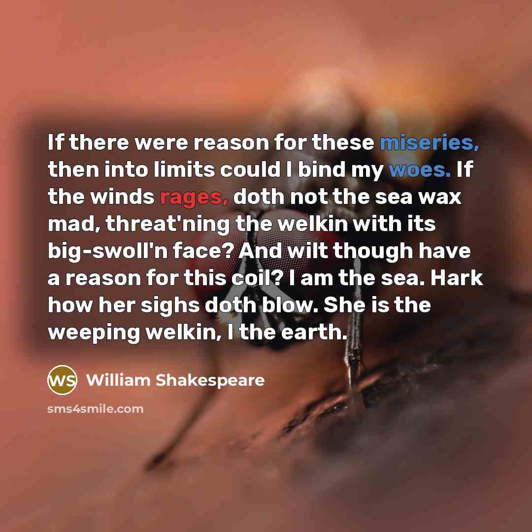“If there were reason for these miseries, then into limits could I bind my woes. If the winds rages, doth not the sea wax mad, threat'ning the welkin with its big-swoll'n face? And wilt though have a reason for this coil? I am the sea. Hark how her sighs doth blow. She is the weeping welkin, I the…” quote by William Shakespeare