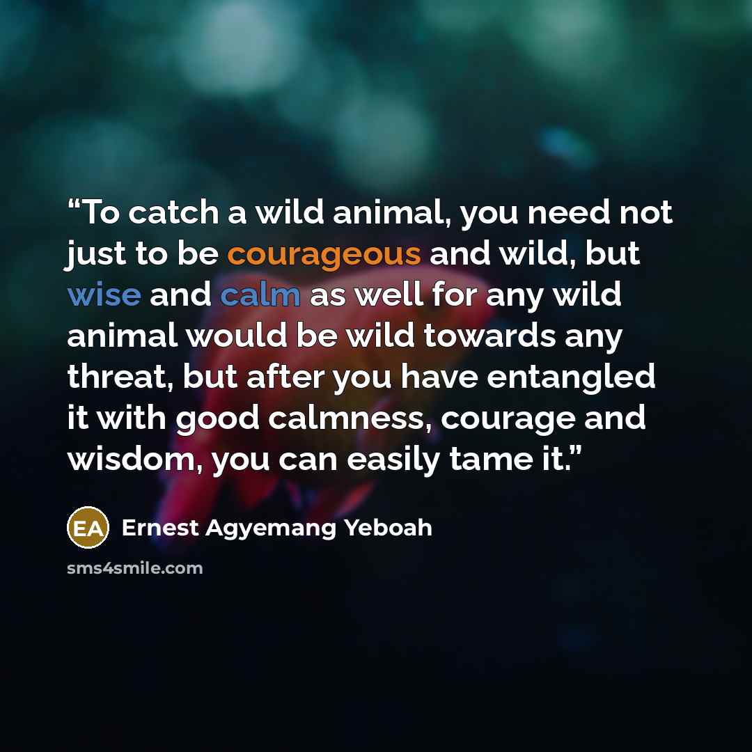 “To catch a wild animal, you need not just to be courageous and wild, but wise and calm as well for any wild animal would be wild towards any threat, but after you have entangled it with good calmness, courage and wisdom, you can easily tame it.” quote by Ernest Agyemang Yeboah