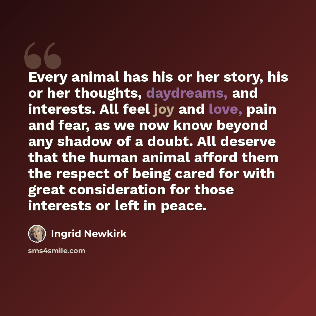“Every animal has his or her story, his or her thoughts, daydreams, and interests. All feel joy and love, pain and fear, as we now know beyond any shadow of a doubt. All deserve that the human animal afford them the respect of being cared for with great consideration for those interests or left in…” quote by Ingrid Newkirk